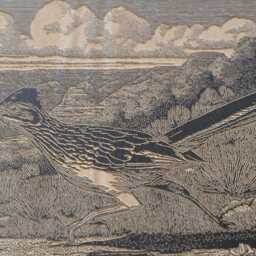Roadrunner in The Desert Scene Wall Art - Wood Lithograph Illustration, Arizona Landscape, Nature Southwest Home Decor Gift - thumbnail 2