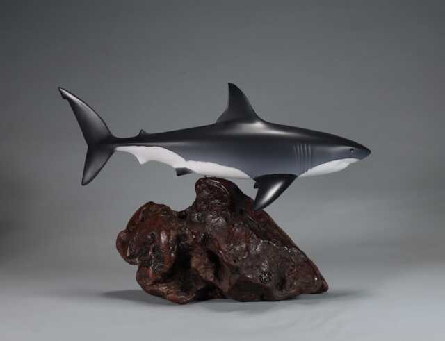 Great White Shark Sculpture By John Perry 15In Long On Polished Burlwood Base. Signed - image 1