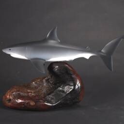 Great White Shark Sculpture By John Perry 15In Long On Polished Burlwood Base. Signed - thumbnail 2