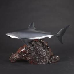 Great White Shark Sculpture By John Perry 15In Long On Polished Burlwood Base. Signed - thumbnail 4