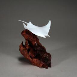 Manta Ray Sculpture By John Perry Pellucida 6In Long On Burlwood - thumbnail 2