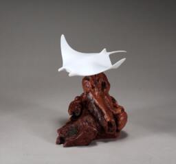 Manta Ray Sculpture By John Perry Pellucida 6In Long On Burlwood - thumbnail 1