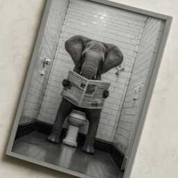 Funny Elephant Wall Art Print - Quirky Bathroom Poster Black & White Animal Artwork A3 A4 Toilet D??cor Gift For Him Her - thumbnail 2