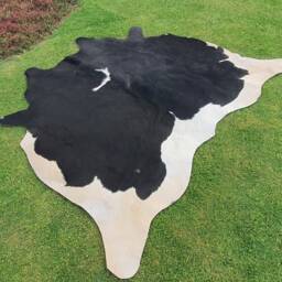 Unique Cowhide Black & White, Brazilian Cow Skin & Large Area Rug For Living Room, Real Hair On Cowhide, Upholstery Leather - thumbnail 3