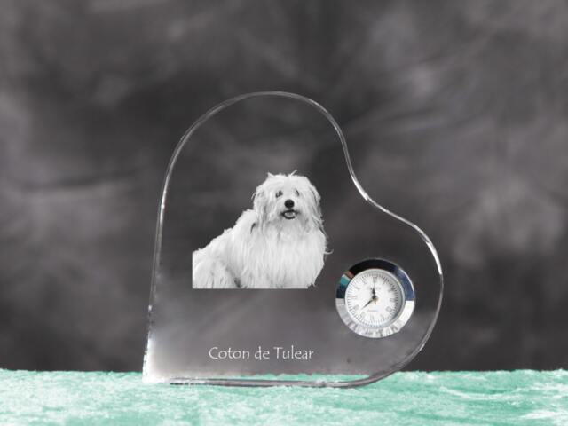 Coton De Tul??ar - Crystal Clock in The Shape Of A Heart With Image Pure-Bred Dog - image 1