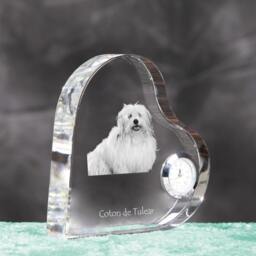 Coton De Tul??ar - Crystal Clock in The Shape Of A Heart With Image Pure-Bred Dog - thumbnail 3