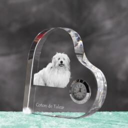 Coton De Tul??ar - Crystal Clock in The Shape Of A Heart With Image Pure-Bred Dog - thumbnail 2