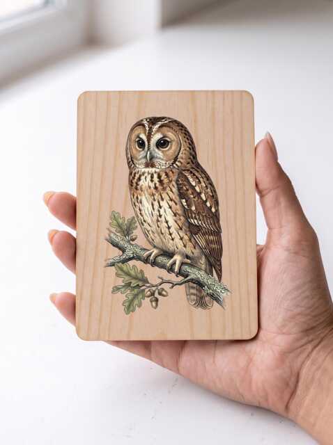 Tawny Owl Art Print - Vintage Illustration Woodland Pine Wooden Postcard Wall - image 1