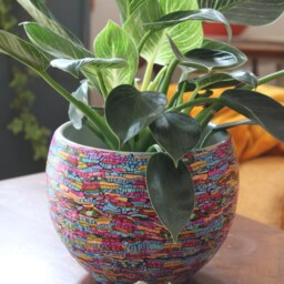Bright & Vibrant Round Indoor Planter - thumbnail 2