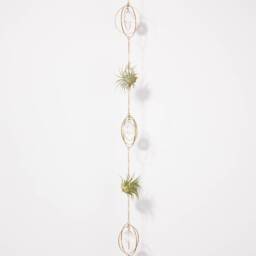 Hanging Air Plant Holder Chain, Brass Crystal Suncatcher, Geometric Hanger, Display, Gift Ideas