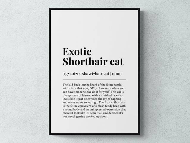 Exotic Shorthair Cat Funny Definition Wall Art Print - image 1