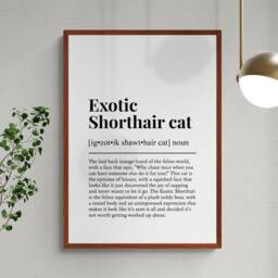 Exotic Shorthair Cat Funny Definition Wall Art Print - thumbnail 2