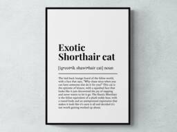Exotic Shorthair Cat Funny Definition Wall Art Print - thumbnail 1