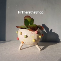 The Multi-Coloured Bobbly Pot - Ceramic Succulent Pot, Handmade Planter, Cactus Plant Home Studio Pottery, Hanging Pot - thumbnail 2