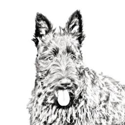 Scottish Terrier - Wooden Stand For Candles/Pens With The Image Of A Dog New Collection - thumbnail 2