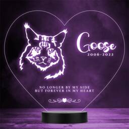 Cat Pet Loss Memorial Forever in My 3 Personalised Gift Colour Night Light - thumbnail 1