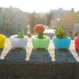 Elephant Planter Good Luck Gift For Plant Lovers - thumbnail 4