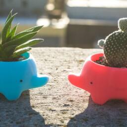 Elephant Planter Good Luck Gift For Plant Lovers - thumbnail 2