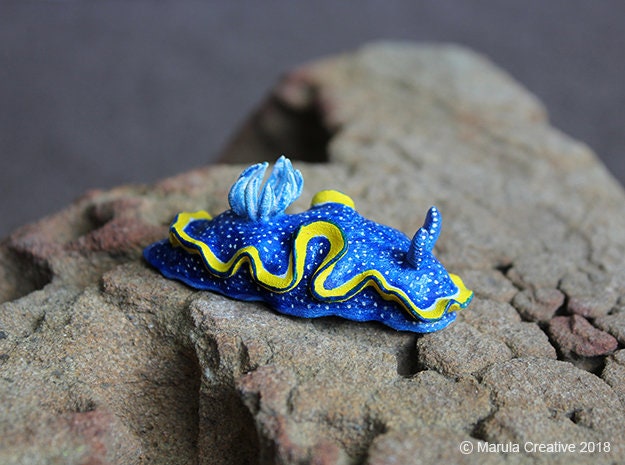 Vespa The Nudibranch - Glossodoris Vespa - image 1