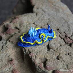 Vespa The Nudibranch - Glossodoris Vespa - thumbnail 4