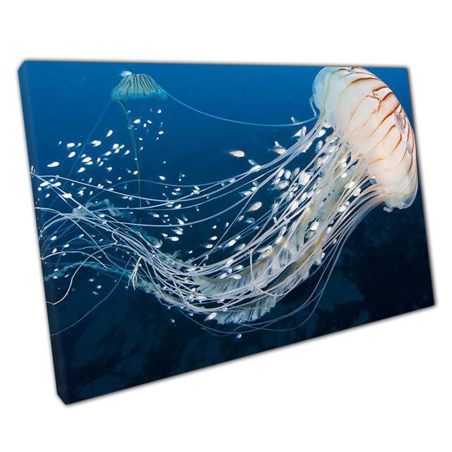 Ethereal Deep Sea Jellyfish & Fish Schools Canvas Art Print - Underwater Ocean Wall Decor For Home Or Office - image 1