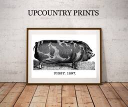 Vintage Pig Print Farmhouse Wall Art - Digital Download - thumbnail 1