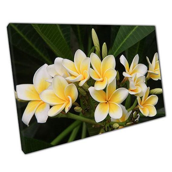 Floral Canvas Print Elegant Botanical Wall Art For Home Office Ready To Hang - image 1