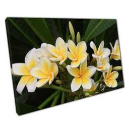 Floral Canvas Print Elegant Botanical Wall Art For Home Office Ready To Hang - thumbnail 1