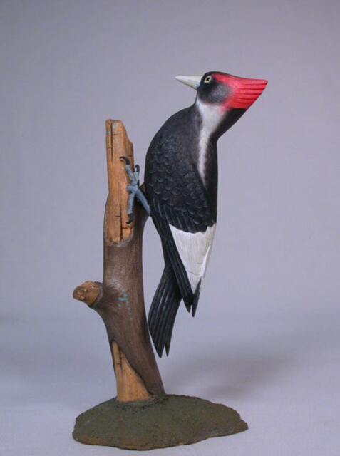 8 - image 1