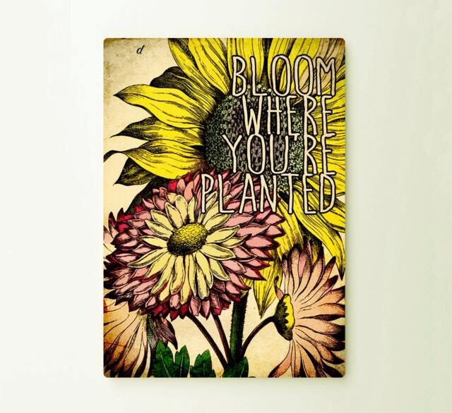Bloom Where You're Planted Art Typograhy Inspirational Quote Metal Wall Fine Prints, Sign Tin
