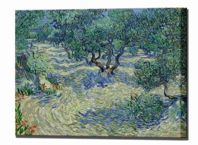 Vincent Van Gogh, Canvas Wall Art Print Home Decor, Olive Trees, Ready To Hang Print, Decor - image 1