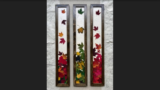 Framed Pressed Maple Leaf Art Signed Original Botanical Wall Decor, Set Of 3 - image 1