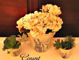 Flower Pot Magic - thumbnail 2