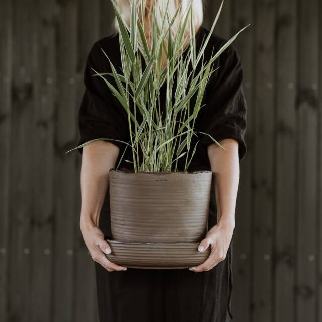 24.5 cm - Plant Pot With Saucer L Handmade Pottery Collection Soil - image 1