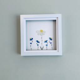 Sea Glass Flower Wall Art - Forget-Me-Not & Daisy Sentimental Framed Picture Handmade in Cornwall - thumbnail 2