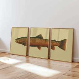 Vintage Trout Wall Art Set Of 3, Rustic Fishing Poster Prints, Antique Nature Illustration Decor, Coastal Cabin - thumbnail 1