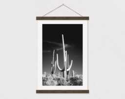 Black & White Saguaro Cactus Canvas Print With Wood Poster Hanger-Farmhouse Sign - Gift For Her - Farmhouse Print - Modern - thumbnail 1