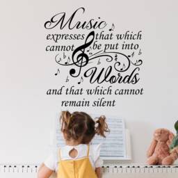 Music Wall Decals - Quote Vinyl Stickers Treble Clef Notes Decal Art Home Decor Sm17 - thumbnail 3