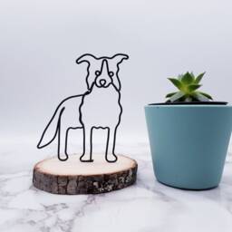 Personalized Border Collie Wire Sculpture, Pet Memorial Art - thumbnail 2