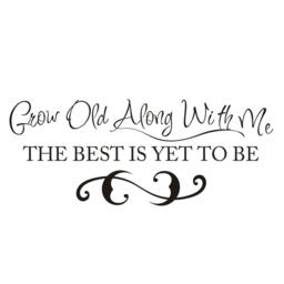 Grow Old With Me The Best Is Yet To Be - Bedroom Decor Vinyl Wall Decal Love Quotes- 136 - thumbnail 3