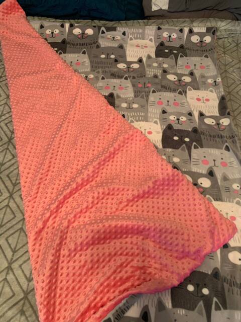 Minky Cat Blanket - image 1
