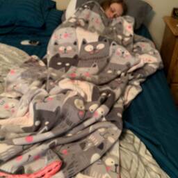 Minky Cat Blanket - thumbnail 4