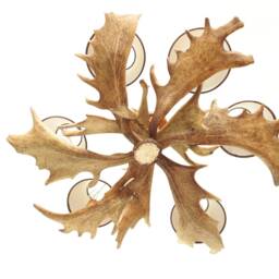 Antler Chandelier For 6 Lights With Shades - thumbnail 2