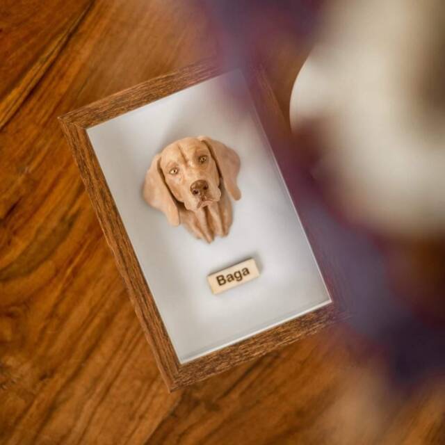Graceful Vizsla Bust Handmade Resin Sculpture For Dog Lovers - image 1