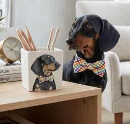 Custom Pet Portrait Pencil Holder - Personalized Ceramic Desk Organizer