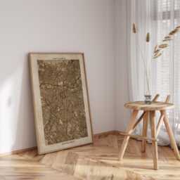 S??o Paulo, Paulo Map - Vintage Beige Detailed Print Brazil Travel Gift - thumbnail 2