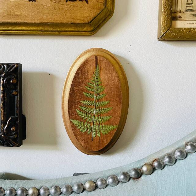 Mini Forest Fern Wall Art - Botanical Fern Wall Hanging Pressed Floral Framed Flower-Gallery Decor Nature Lover Gift - image 1