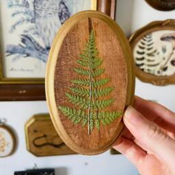 Mini Forest Fern Wall Art - Botanical Fern Wall Hanging Pressed Floral Framed Flower-Gallery Decor Nature Lover Gift - thumbnail 2