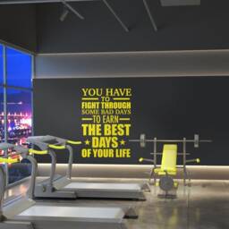 Gym, Fitness, Home Gym Decor, Bodybuilding, Sports Decals, Wall Decals - Skufbd - thumbnail 1