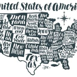 Vinyl Wall Art Decal - United States Of America Map Usa Us State Names History Class Classroom Elementary Middle High School Homeschool - thumbnail 2
